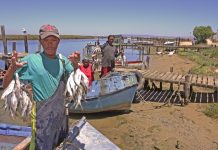 A salt-of-the-earth kinda place Velddrif, West Coast