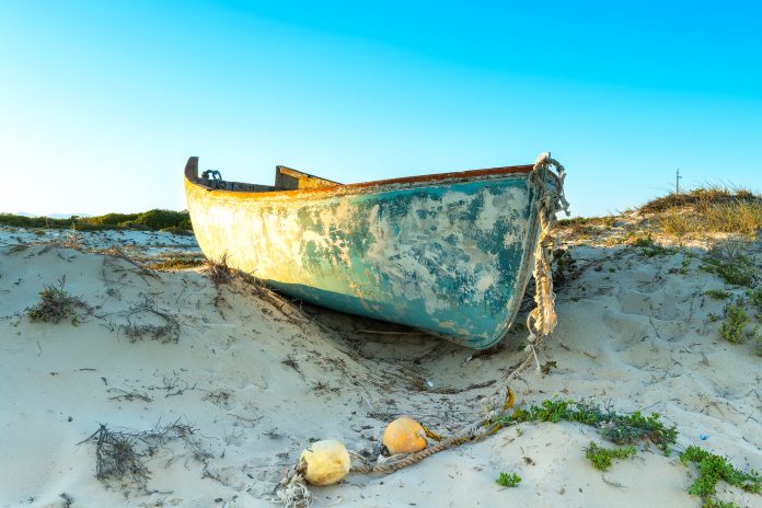 The art of photography