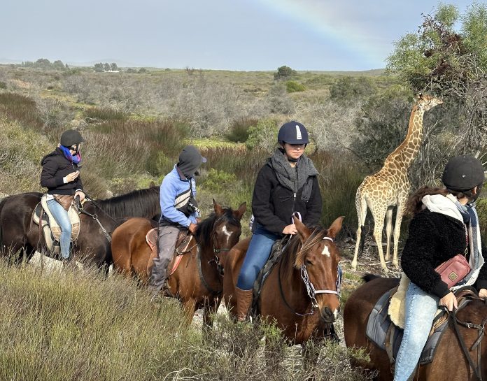 Safari horse rides at Yzerfontein