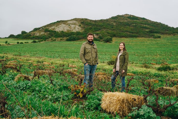 David & Nadia's Elpidios