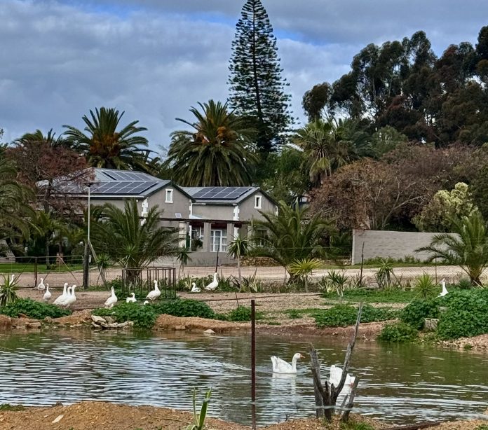 Die Hut accommodation in Moorreesburg