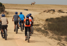 Glide into the wild E-bike safari at Buffelsfontein