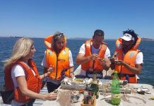 Shuck, sip & sail Oyster and champagne tour at Saldanha Bay